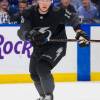 TAMPA, FL - FEBRUARY 7: Ondrej Palat #18 of the Tampa Bay Lightning skates against the St Louis Blues during overtime at Amalie Arena on February 7, 2019 in Tampa, Florida.  (Photo by Scott Audette/NHLI via Getty Images)"n